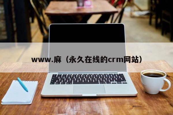 www.麻（永久在线的crm网站）