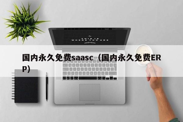国内永久免费saasc（国内永久免费ERP）