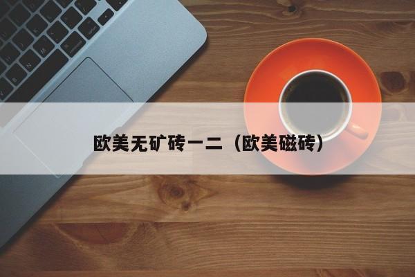 欧美无矿砖一二（欧美磁砖）