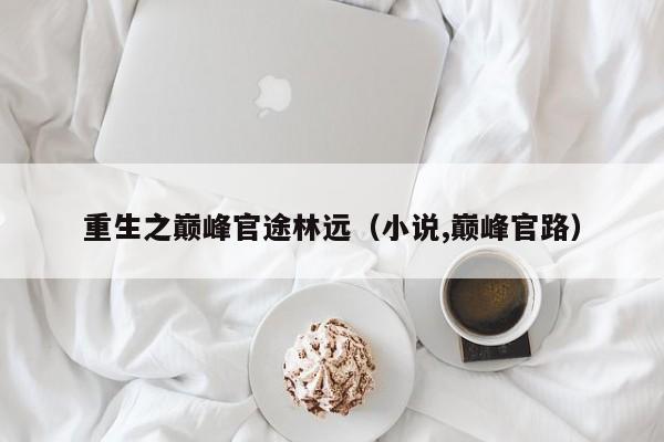 重生之巅峰官途林远（小说,巅峰官路）