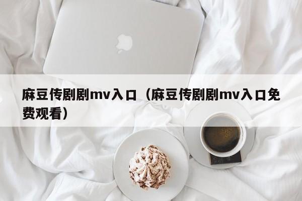 麻豆传剧剧mv入口（麻豆传剧剧mv入口免费观看）
