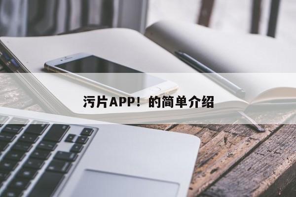污片APP！的简单介绍